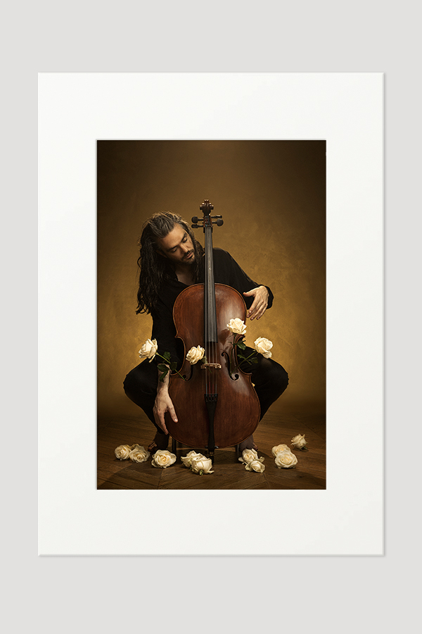 Le violoncelle